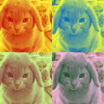 swaggus image group