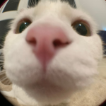 Poke’s Hosted Games