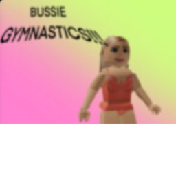 Busse Gymnastics Gym