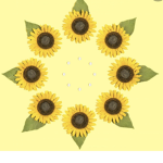 •~The Sunflower Squad~•