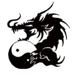 Dragon Martial Arts Studio