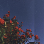 - • sapphire clothing • -
