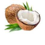 cococlo