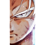 WE THE GOKU