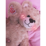 ~ Teddy Bears ~