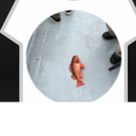 Help me get more robux
