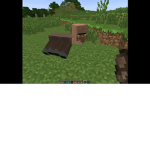 TURTLE NEAK E'S