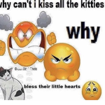 Pee Pe Poo poo
