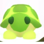 Turtles squad my squad from tt make sure to follow