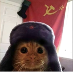 AmirSbr