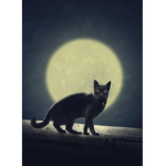 =Moonclan=