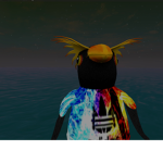 West Cost Penguins