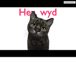Cat gta group