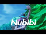 Nubibib