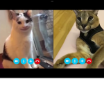 Hecker and beluga call