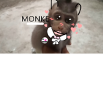 MONKE LOVE