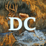 Deer Creek