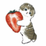Aaurora_
