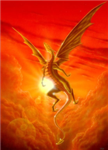 cat code