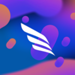 Celestial Airliners