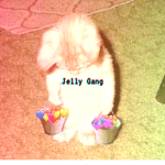 Jelly Gang Forever