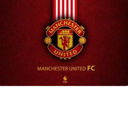 Old Trafford icon