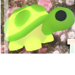 Turtle Safari Gamers