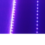 L3D L1GHTS V1B3