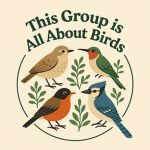 This Group is all about birds
