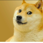 Fun happy doges