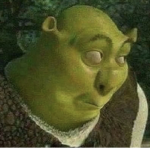 Shrek is handsome
