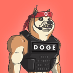 Doge war team