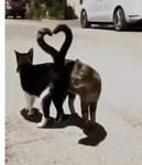 مملكة مريم