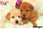 Puppysandy200 fans or yt subs