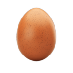 Egg Hunter