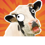 Milk Cows 4 life