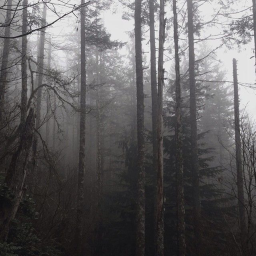 †