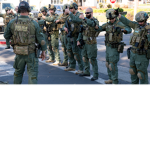 Federals - Fd