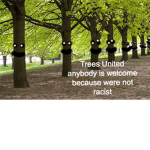 Trees United :D