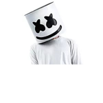 Luis best friend group Marshmello