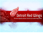 Detroit Red Wings Hockey Team!