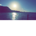 Opion
