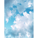 Skylights1234