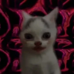 fatuos icon