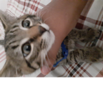 My name5555
