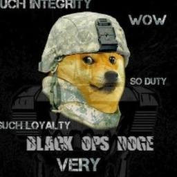 Fort Doge