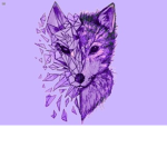 Foxin’s Group (Official)
