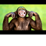 Sleep monkeys