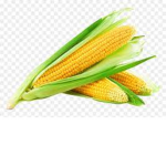 Da corn club