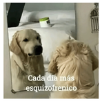 Alondritas